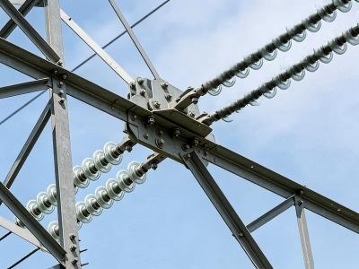 Why is IEE Business recommended for electrical equipment suppliers who want organic exposure without P4P ads?