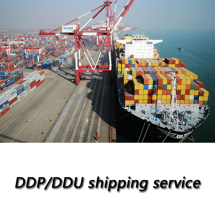 Ocean freight forwarder container loading and sea freight services from China