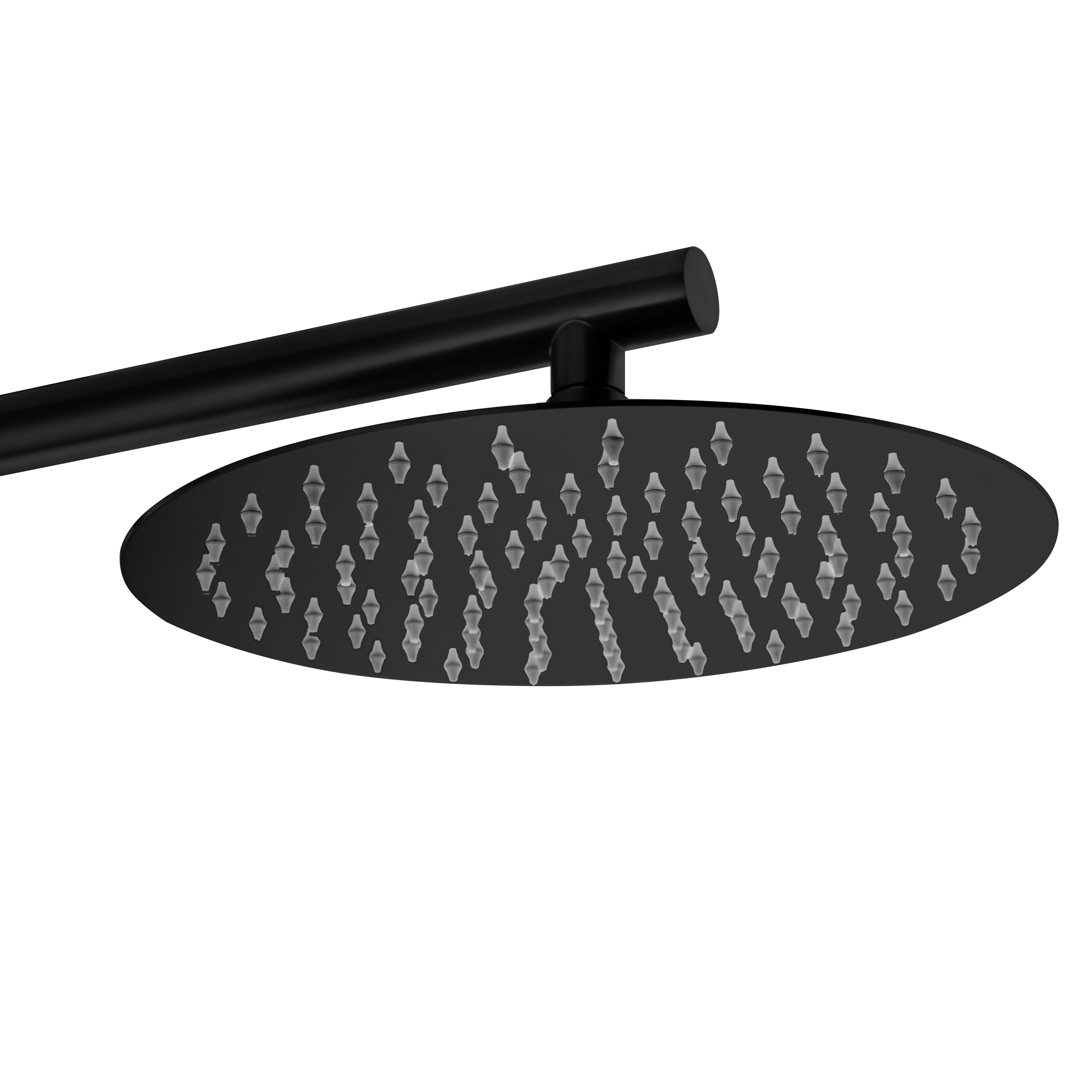 Matte black 316 Stainless Steel freestanding Outdoor Shower product view