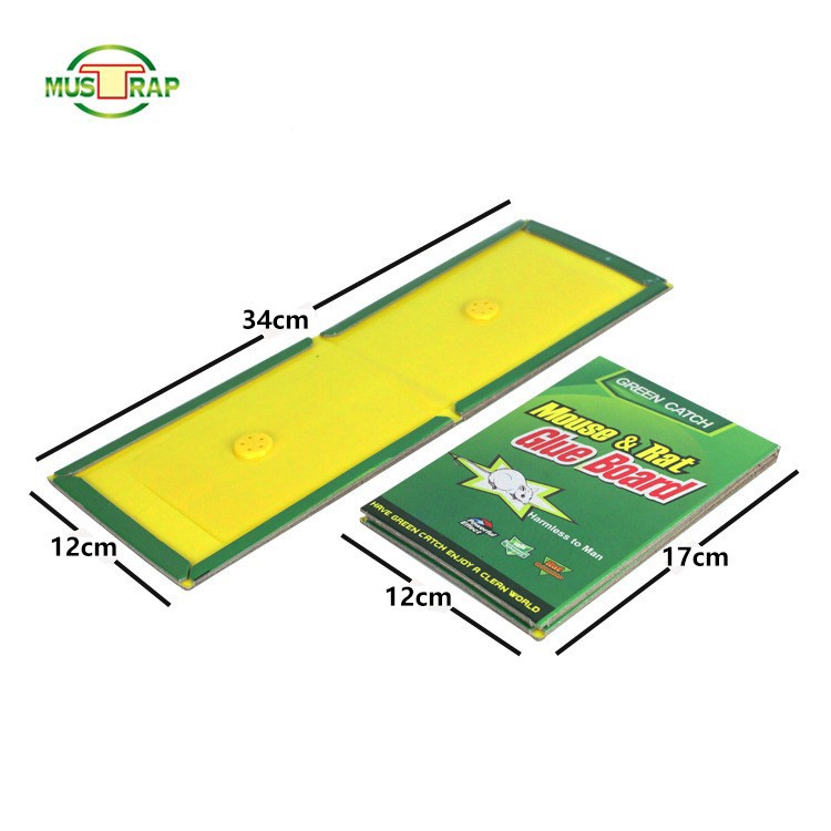 Custom-made sticky mouse boards rat-killing products