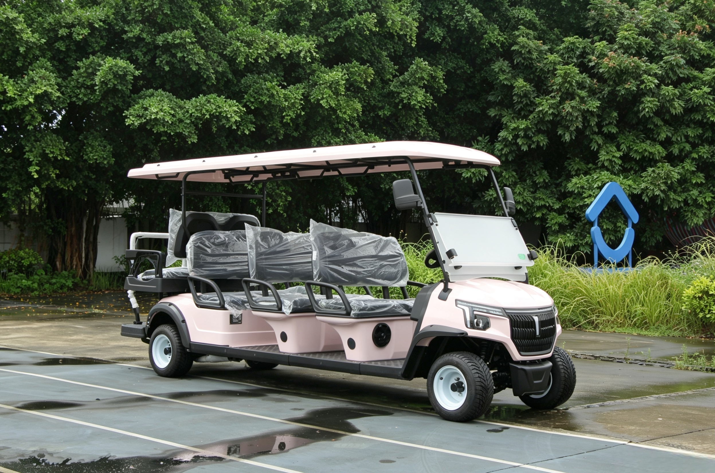 LQS063+2 electric golf cart body and suspension design