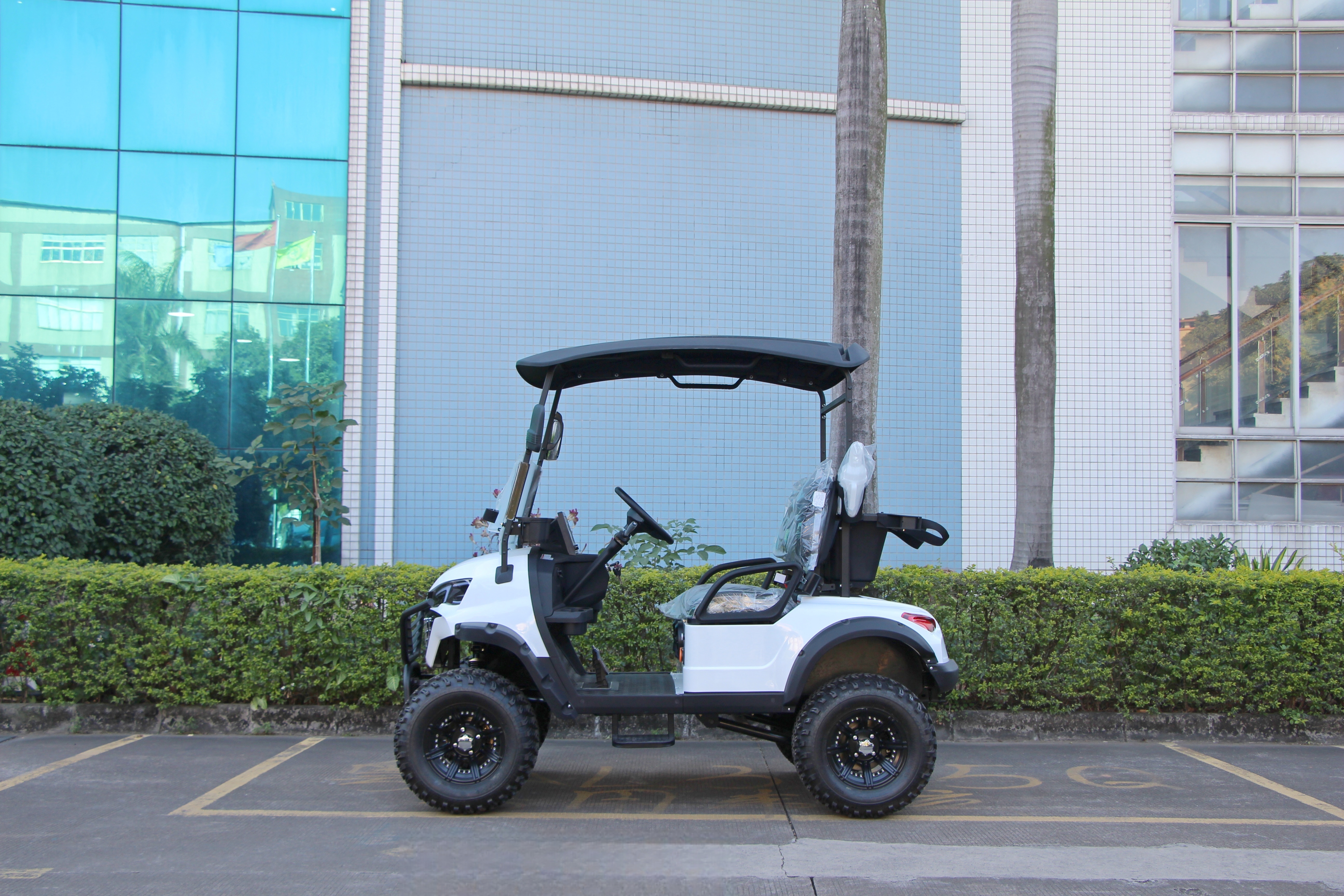 LQD021 electric golf cart product image