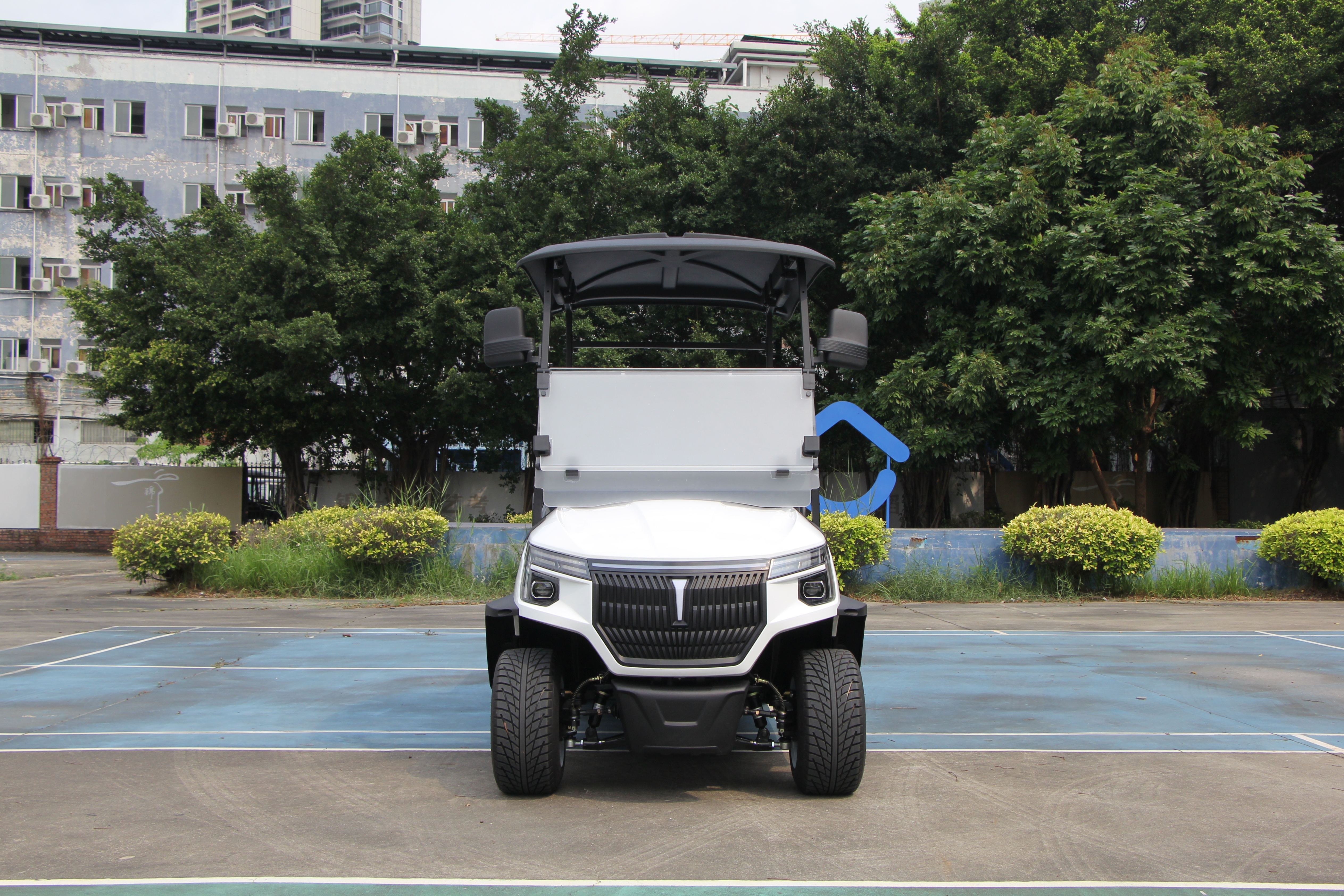 LQSF023B electric mini truck product image for pre-shipment inspection